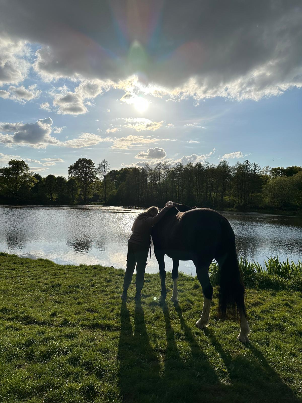 Naturtrail - Baumbestand